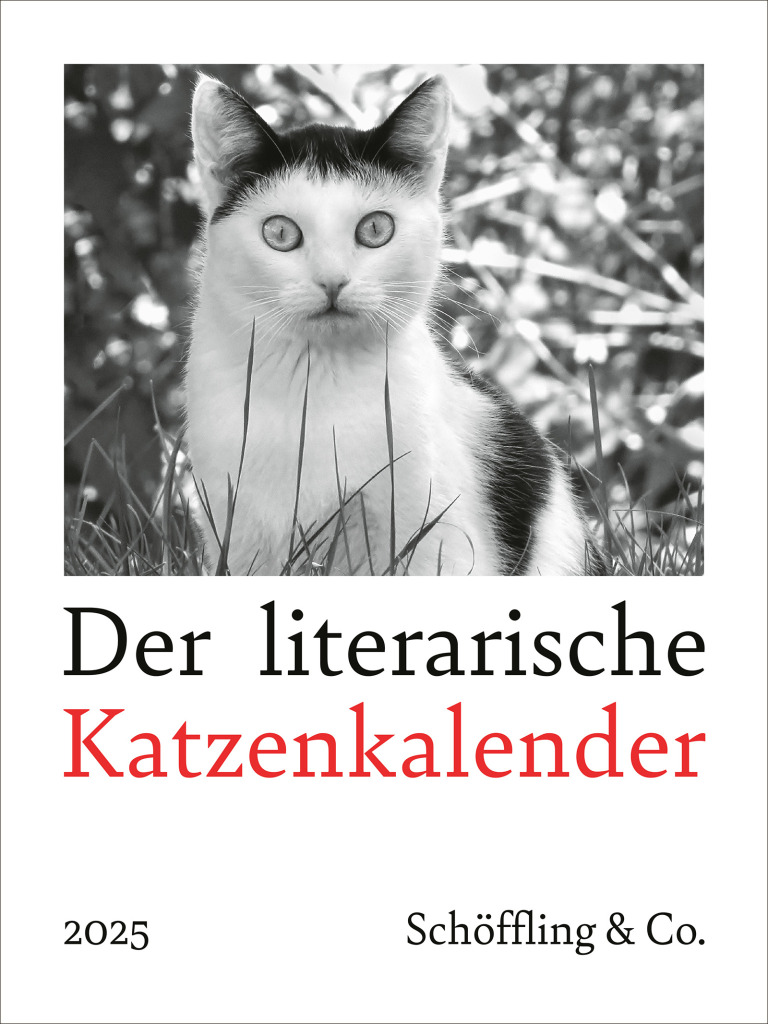 Der literarische Katzenkalender 2025 Julia Bachstein